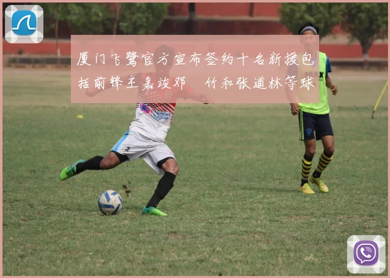 厦门飞鹭官方宣布签约十名新援包括前锋王嘉竣邓棽竹和张道林等球员