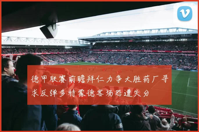 德甲联赛前瞻拜仁力争大胜药厂寻求反弹多特蒙德客场恐遭失分