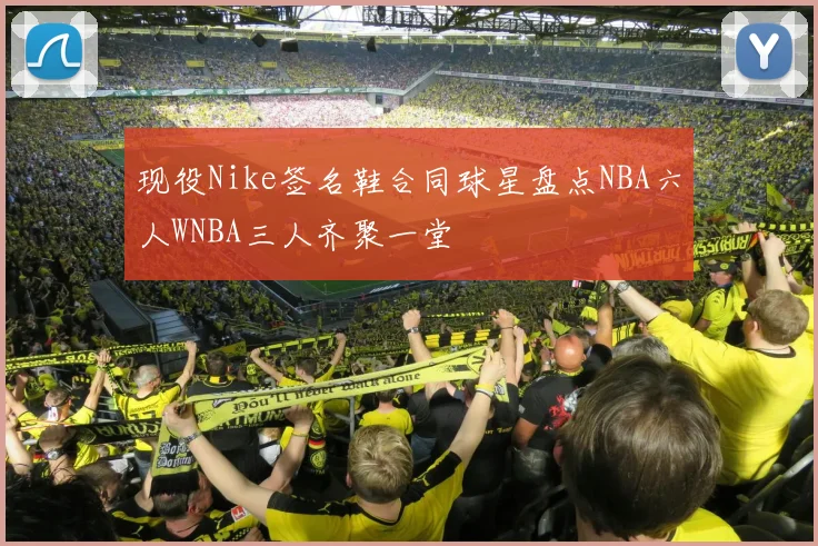 现役Nike签名鞋合同球星盘点NBA六人WNBA三人齐聚一堂